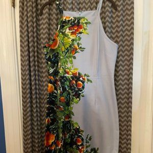 NWOT Anthropologie Maeve Orange Bough Blue Citrus Dress Midi Grove